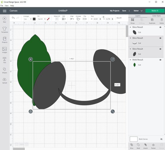 cricut_how_to_make_a_paper_calathea_ornata_plant_step6_5.jpg?sw=554&q=85