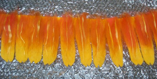 picture52.jpg?sw=554&q=85