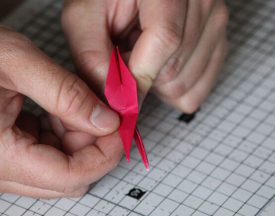 img_7384_edit.jpg?sw=554&q=85