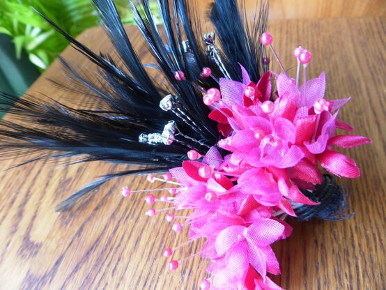 together-feathers.jpg?sw=554&q=85