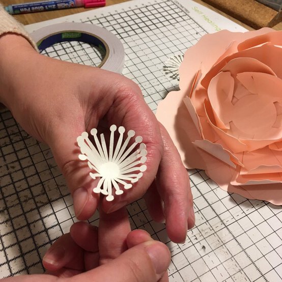 paperpeony_step19-e1551452178525.jpg?sw=554&q=85