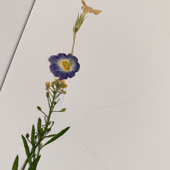 how_to_make_pressed_flower_art_5.jpg?sw=554&q=85