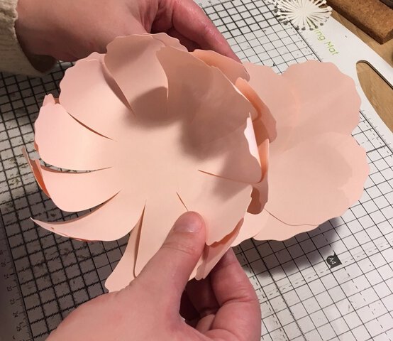 paperpeony_step15-e1551451894680.jpg?sw=554&q=85