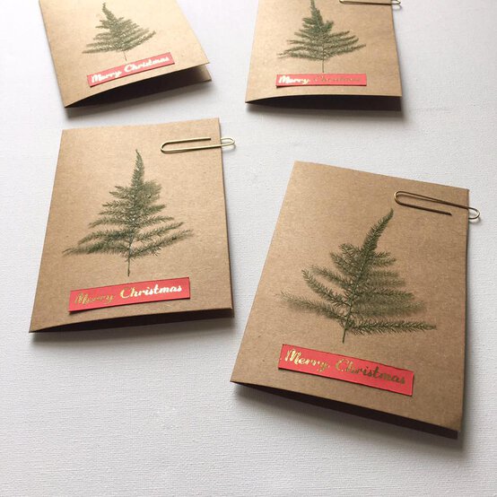 image-9.jpg?sw=554&q=85