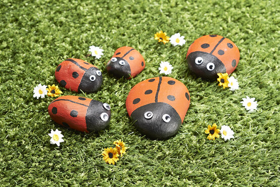 press_ladybird_pebbles_19555260.jpg?sw=554&q=85