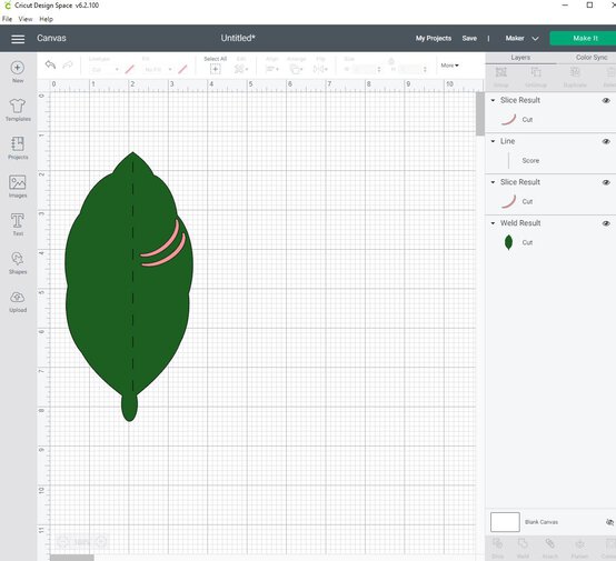 cricut_how_to_make_a_paper_calathea_ornata_plant_step8.jpg?sw=554&q=85