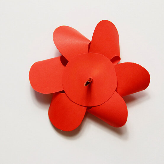 poppy_step7-600-x-600.jpg?sw=554&q=85