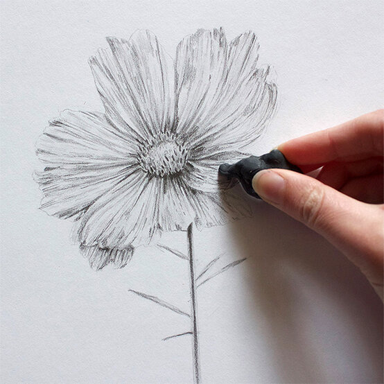 get-started-in-drawing-step7.jpg?sw=554&q=85