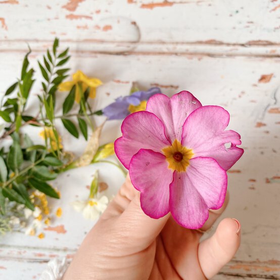 how_to_make_pressed_flower_art_1.jpg?sw=554&q=85