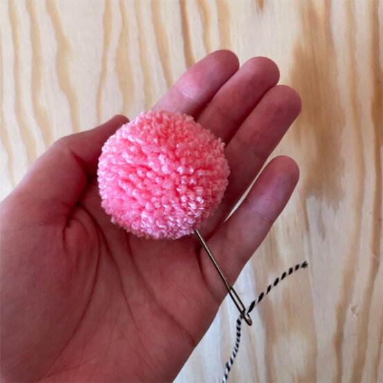 pom-pom-bat-2a.jpg?sw=554&q=85