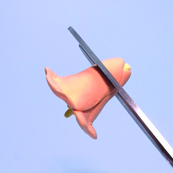 clay%2Ddaffodil%2Dlarge%5Fstep%2D7a.jpg?sw=554&q=85