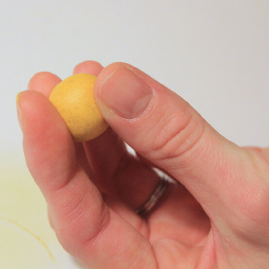 img_8344.jpg?sw=554&q=85