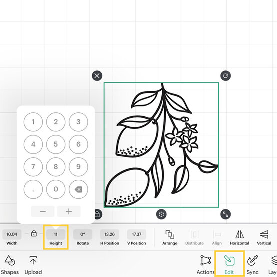Step%205a.jpg?sw=554&q=85