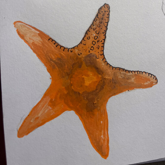 idea%5Fhow%2Dto%2Dillustrate%2Dwith%2Dpaint%2Dmarkers%2Dstarfish%5Fstep7.jpg?sw=554&q=85