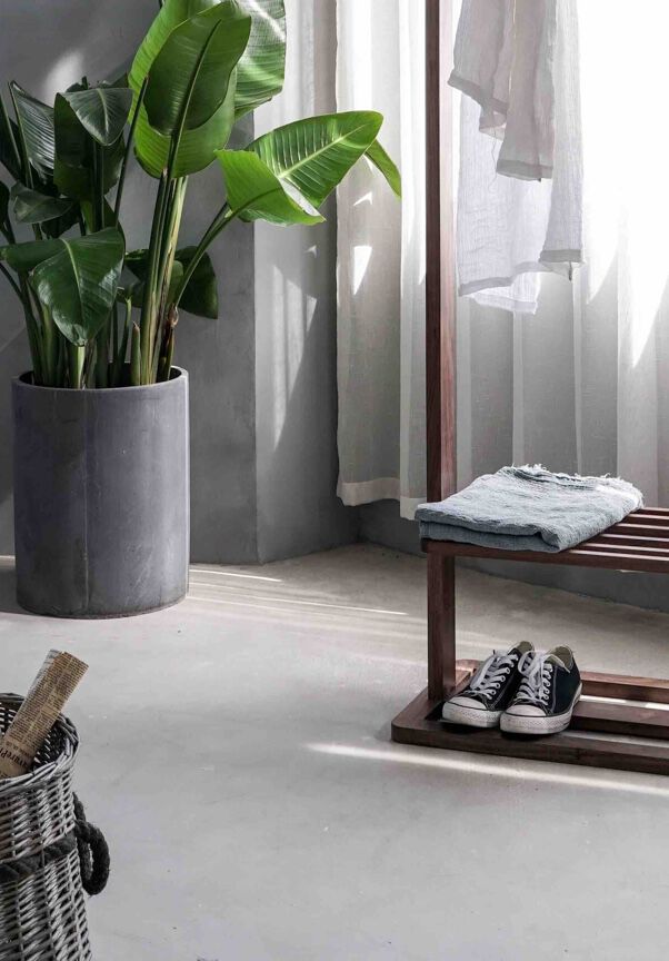 Corner of loft designed home, with a plant on background and clothes rack in front.