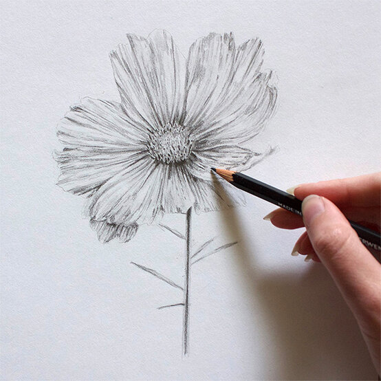 get-started-in-drawing-step8.jpg?sw=554&q=85