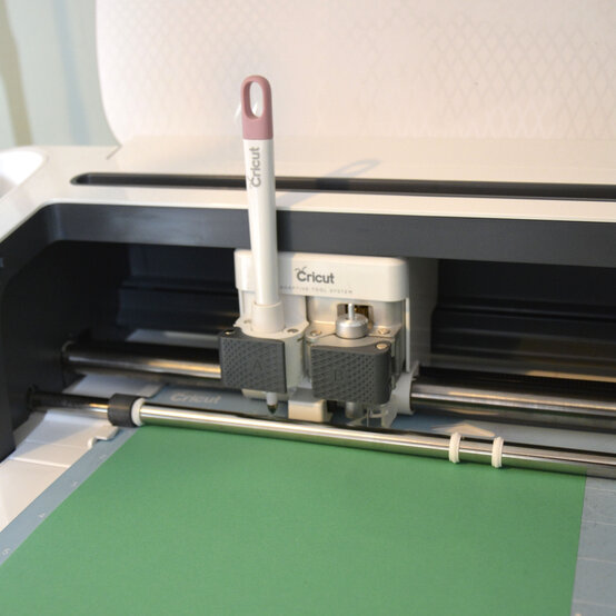 cricut_how_to_make_a_paper_calathea_ornata_plant_step11_3.jpg?sw=554&q=85