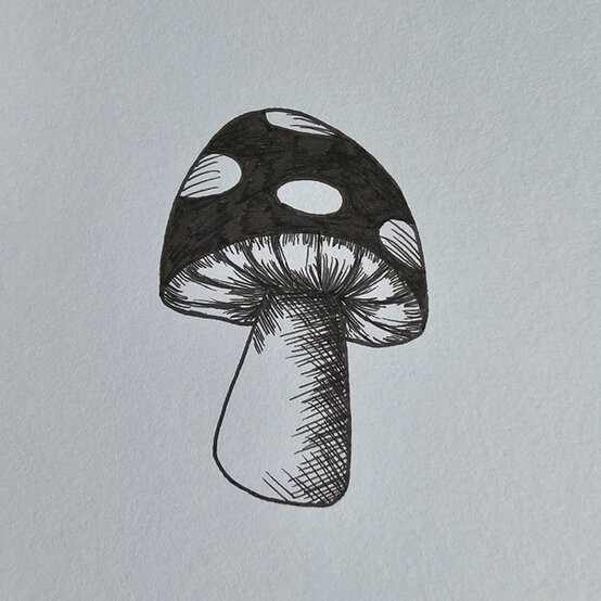 idea%5Fmushroom%2Dfineliner%2Dillustrations%2Dtoadstool%5Fstep%2D01.jpg?sw=554&q=85