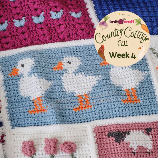 Week%204.jpg?sw=554&q=85