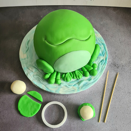 idea_how-to-make-a-frog-cake_step9a.jpg?sw=554&q=85