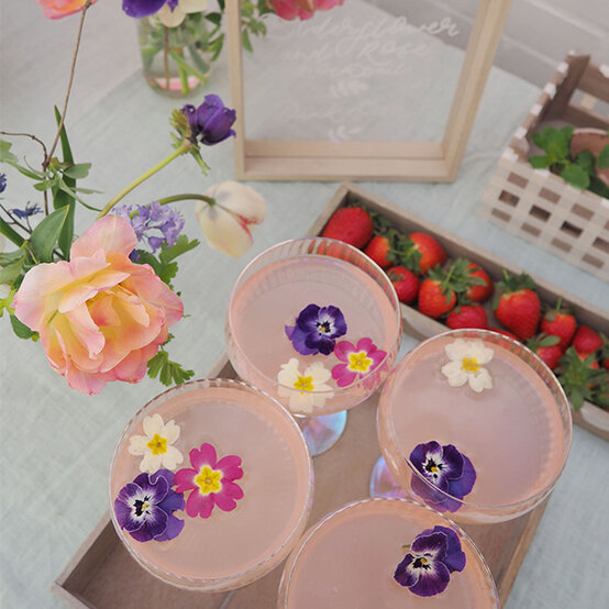 gingham-tray-reusable-party-decorations.jpg?sw=554&q=85