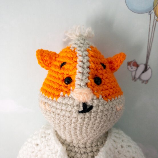 How_to_Crochet_Maud_the_Guinea_Pig_face.jpeg?sw=554&q=85