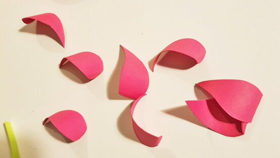 edit7.jpg?sw=554&q=85