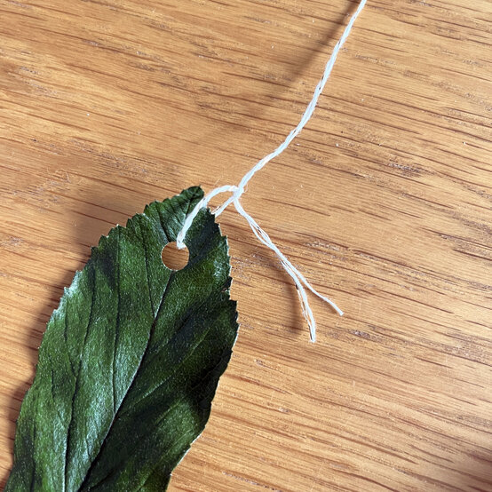 Idea_how-to-make-an-autumn-leaf-hanging_step2b.JPG?sw=554&q=85