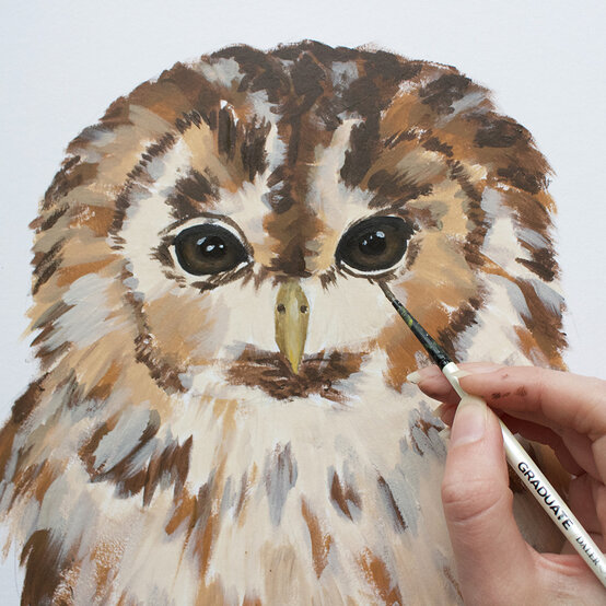 how_to_paint_acrylic_owl_layers_7-1000-pixels.jpg?sw=554&q=85