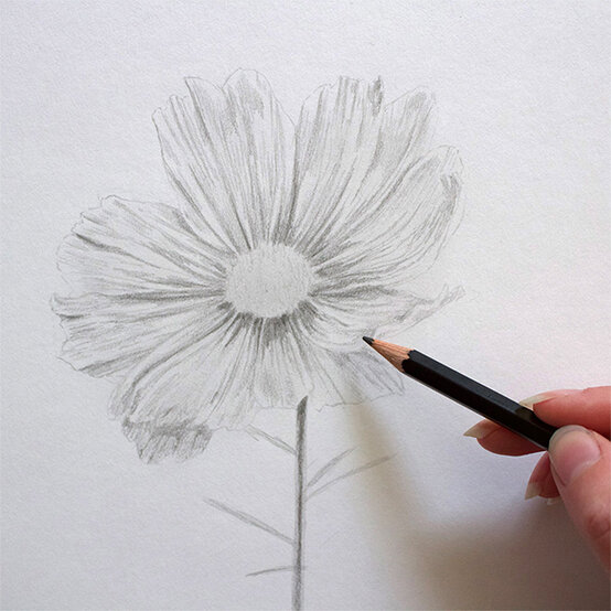 get-started-in-drawing-step5.jpg?sw=554&q=85