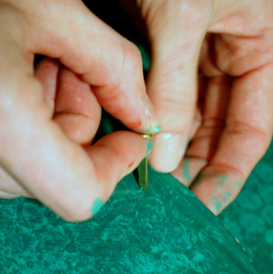 hc-caterpillar-6.1.jpg?sw=554&q=85