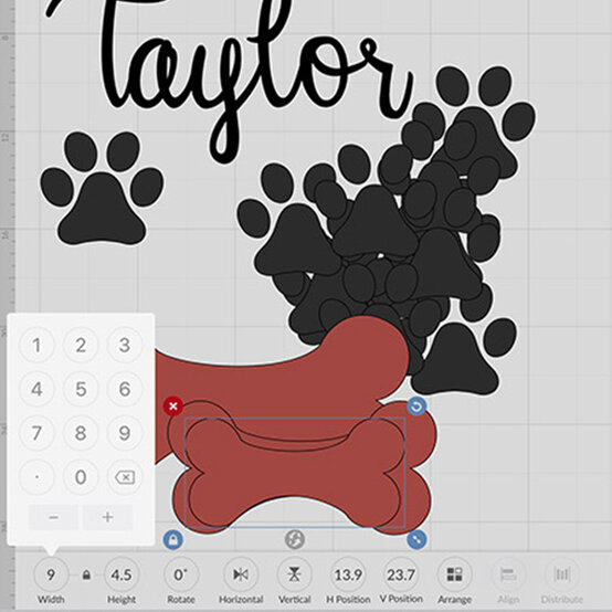 pet-stocking-9.jpg?sw=554&q=85