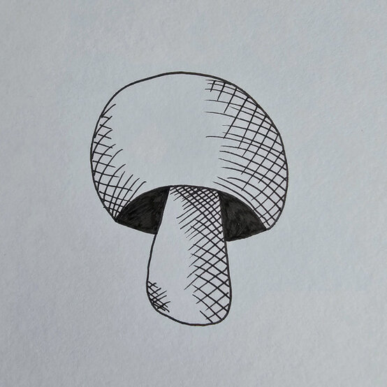 idea%5Fmushroom%2Dfineliner%2Dillustrations%5Fstep%2D1.jpg?sw=554&q=85