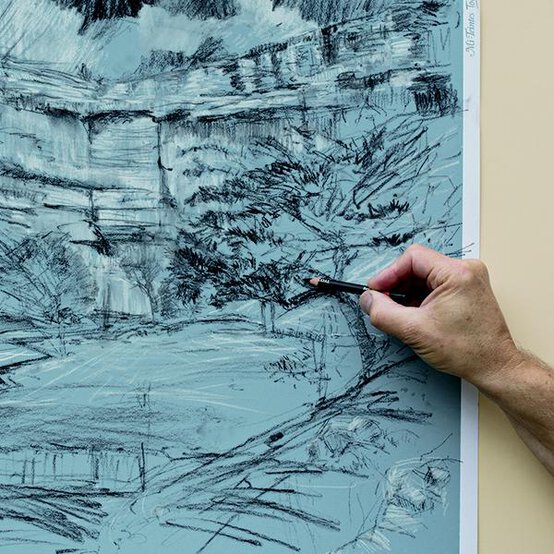 charcoal-pencil-techniques-rob-dutton-tree-build-up.jpg?sw=554&q=85