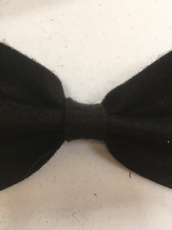 img_7200.jpg?sw=554&q=85