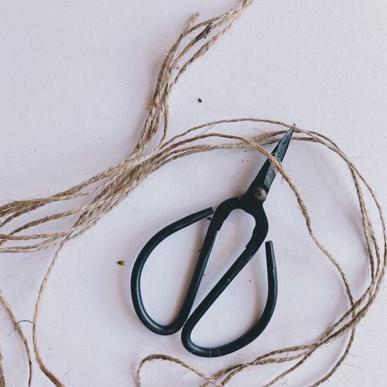 how_to_make_a_natural_festive_wall_hanging_step_2.jpg?sw=554&q=85