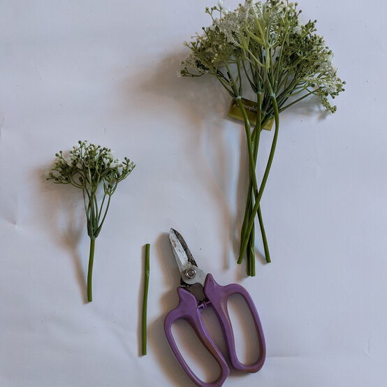 how-to-create-a-wedding-floral-arrangement_step6.jpg?sw=554&q=85