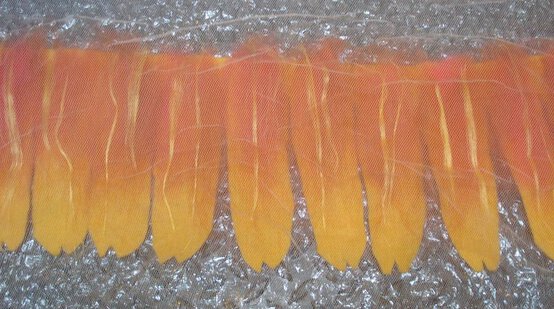 picture62.jpg?sw=554&q=85