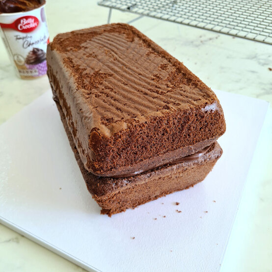 idea%5Fchristmas%2Dcabin%2Dlog%2Dcake%5Fstep%2D20.jpg?sw=554&q=85