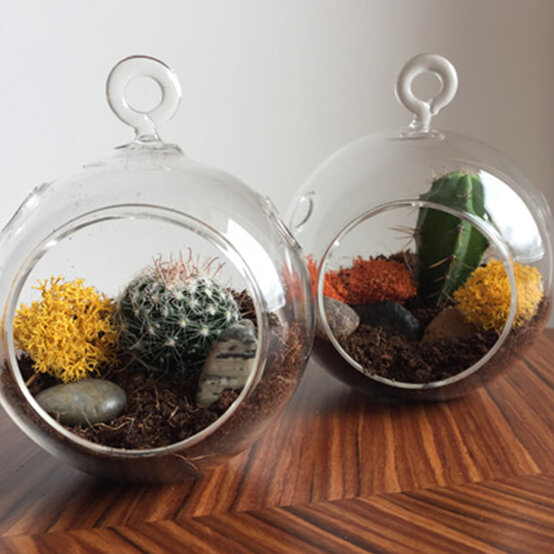 terrarium4.jpg?sw=554&q=85