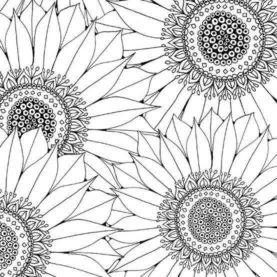 sunflower_colouring_download.jpg?sw=554&q=85
