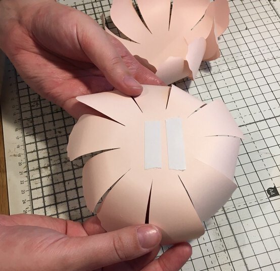 paperpeony_step10-e1551451691545.jpg?sw=554&q=85