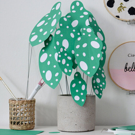 idea_get-started-in-cricut-ideas_begonia.jpg?sw=554&q=85
