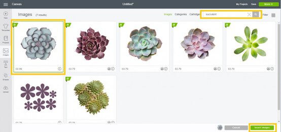 succulent-wreath-1.jpg?sw=554&q=85