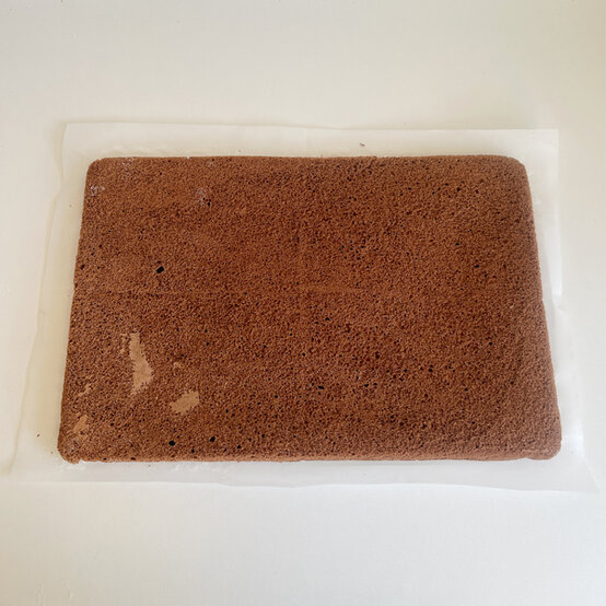 idea_christmas-botanical-yule-log_step11a.jpg?sw=554&q=85