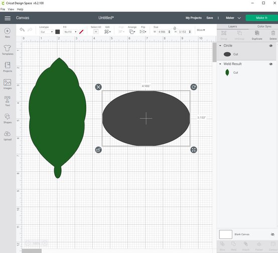 cricut_how_to_make_a_paper_calathea_ornata_plant_step6_2.jpg?sw=554&q=85
