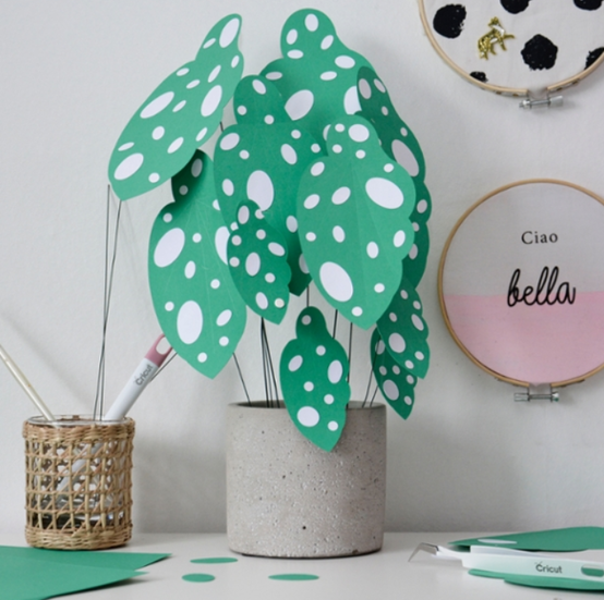 cricut-home-decor-paper-maculata-plant.png?sw=554&q=85