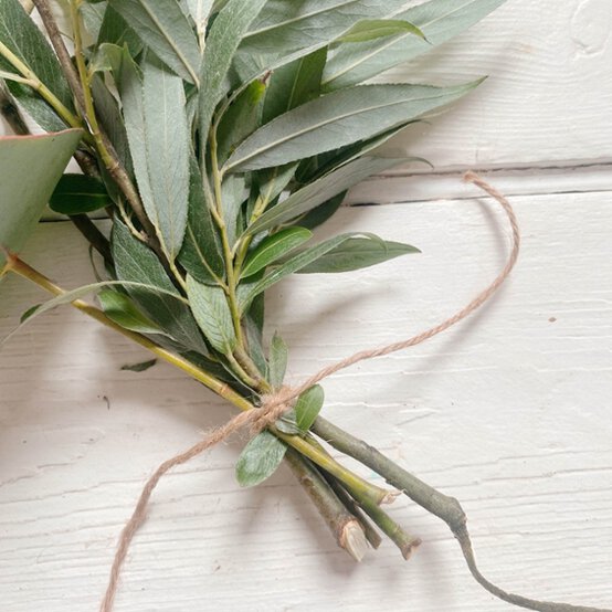 Idea_how-to-make-a-foraged-christmas-wreath_step3.jpg?sw=554&q=85