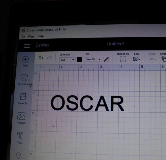 handpainted-christmas-sleigh_step7.jpg?sw=554&q=85