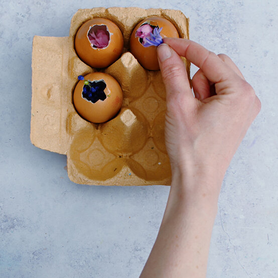 botanical-eggs_ice-play-ideas7.jpg?sw=554&q=85